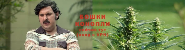 MDMA Заволжск