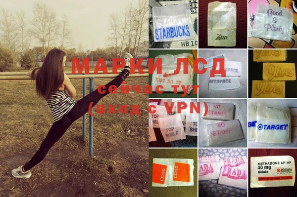 мяу мяу мука Заволжье