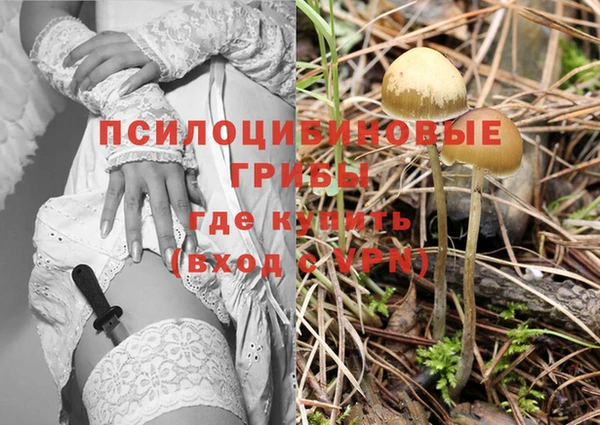 молекула духа Заводоуковск