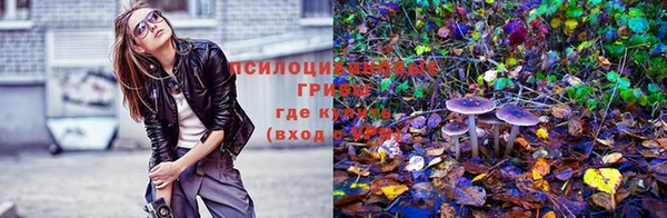 мяу мяу мука Заволжье